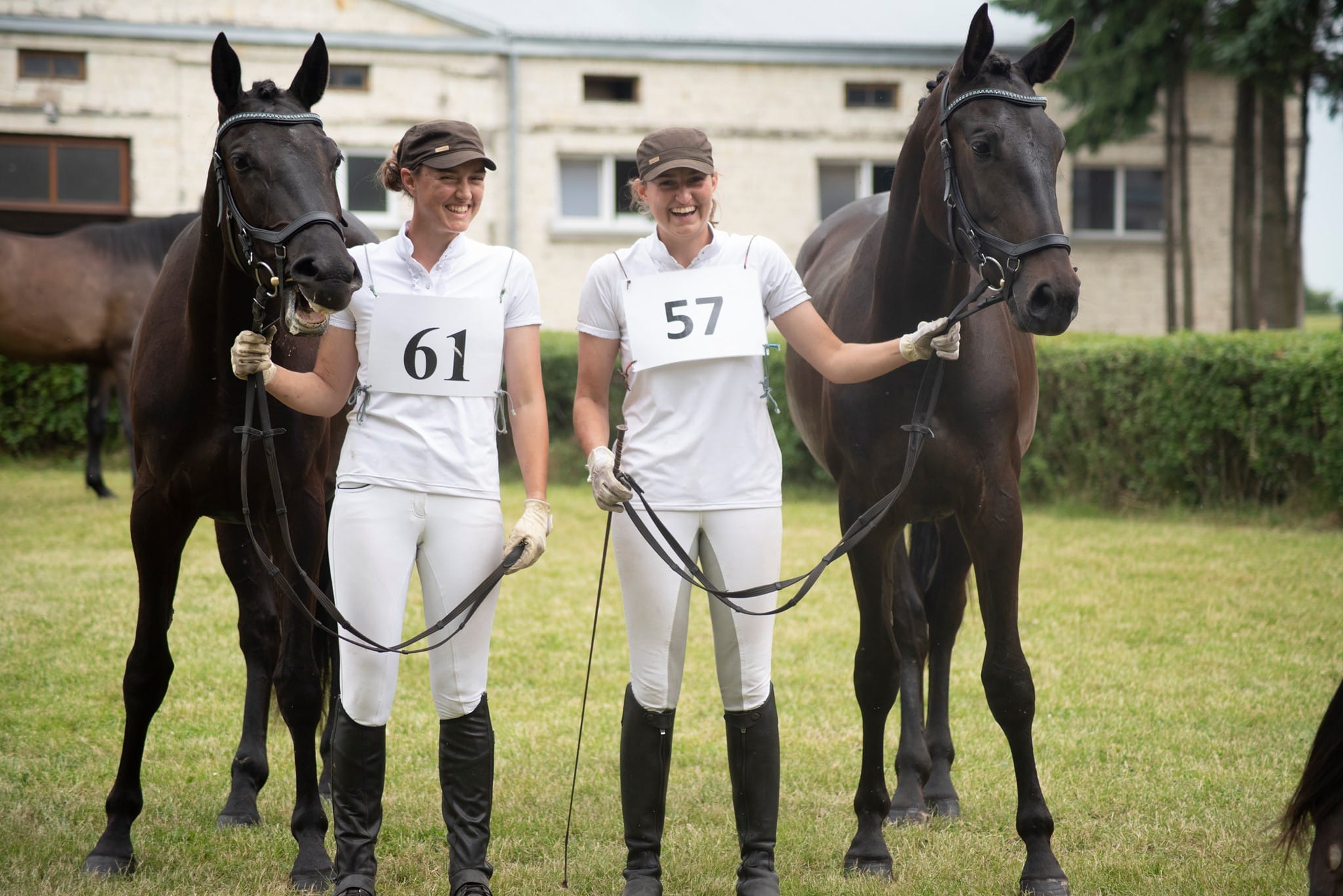 Profesjonalna hodowla i sukcesy sportowe