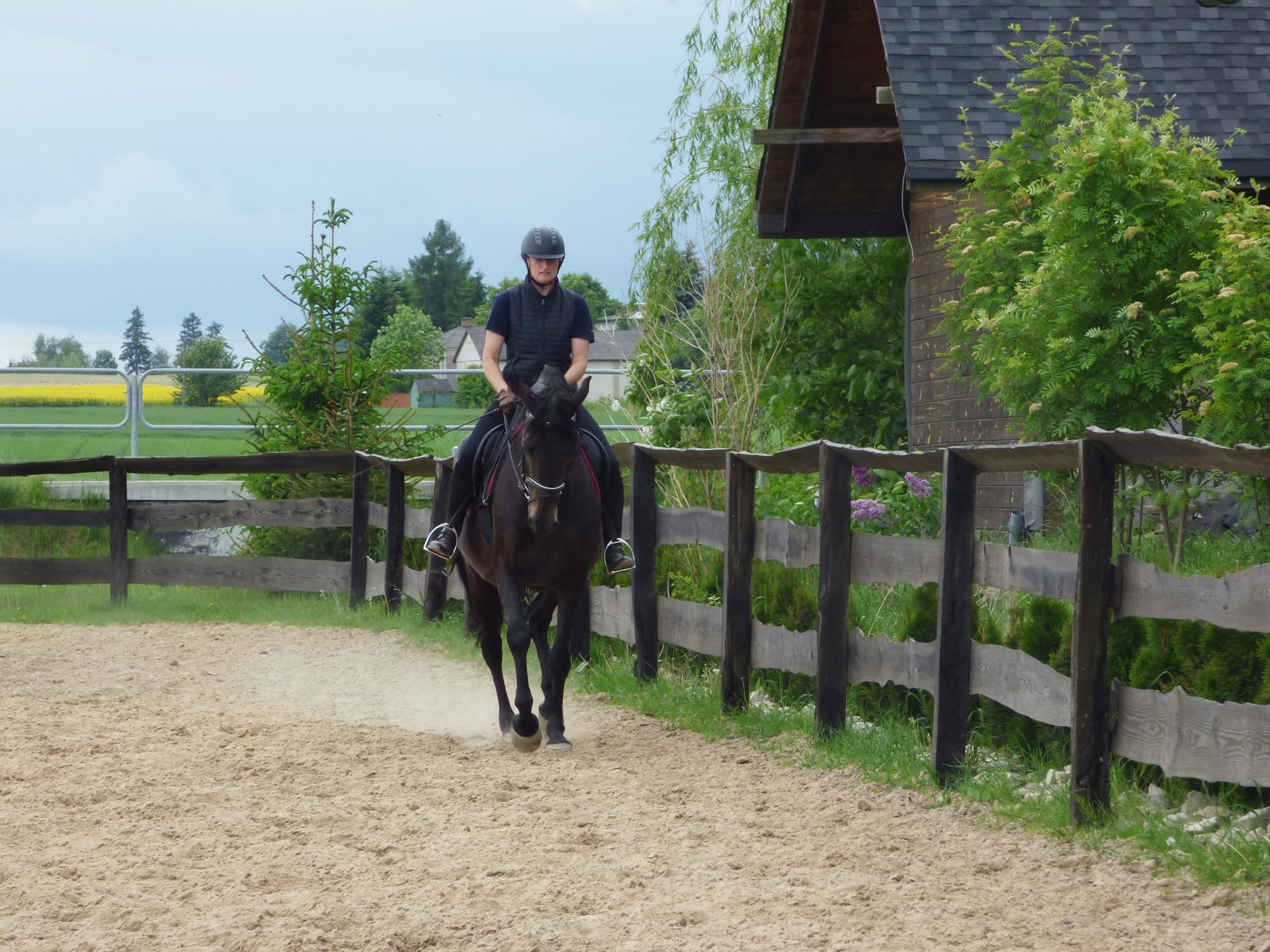 Pasja i profesjonalizm