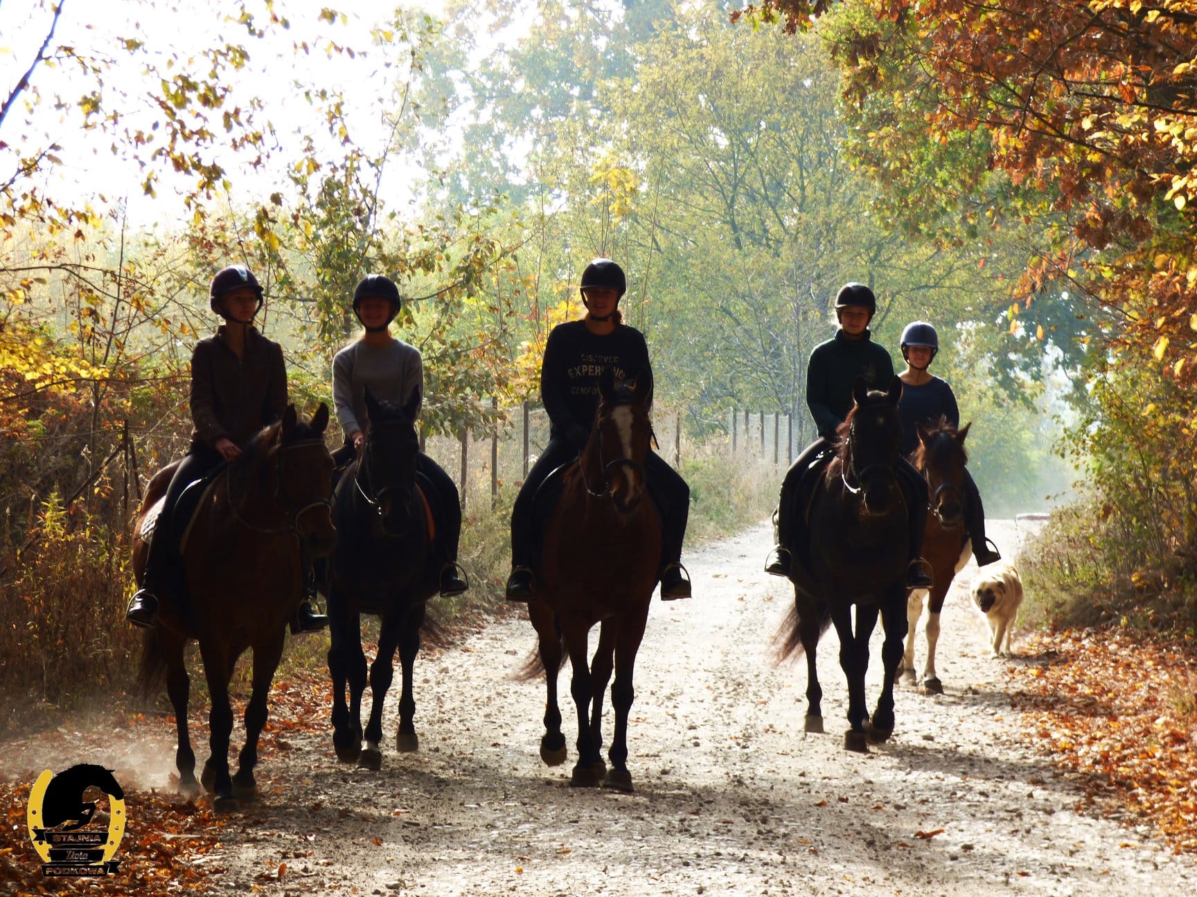 Imprezy integracyjne